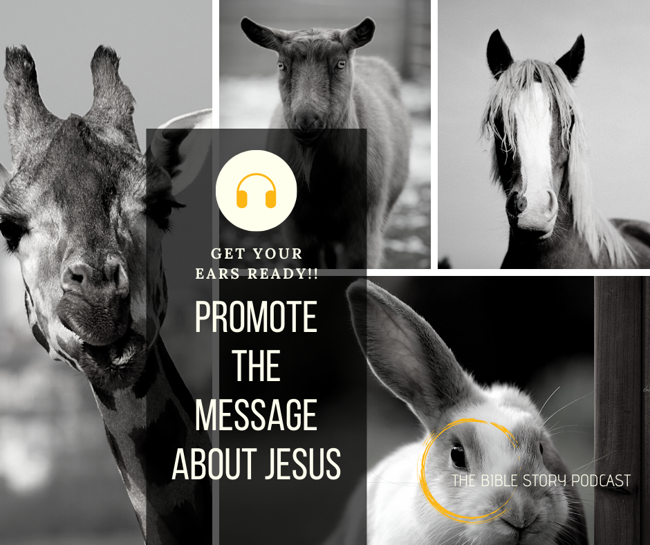 Promote the Message About Jesus